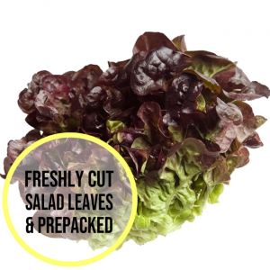 Red Butter Lettuce Leaves 300g
