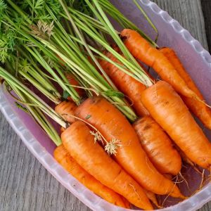 Carrots from Taiwan 2lb 