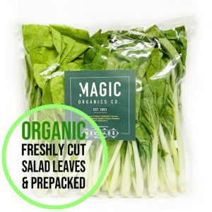 Organic Baby Bak Choi Leaves 600g 
