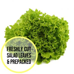 Green Coral Lettuce Leaves 300g