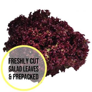 Red Coral Lettuce Leaves 300g