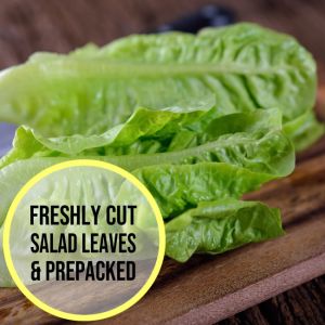 Green Romaine Lettuce Leaves 300g 