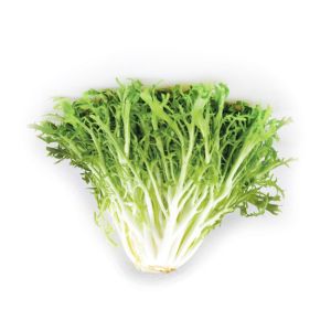 Frisee Lettuce 600g Salad