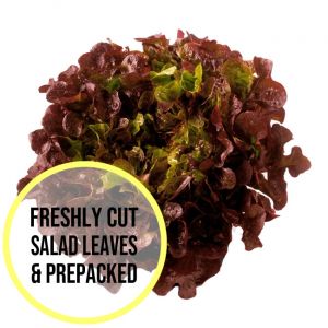 Red Oakleaf Lettuce Leaves 300g