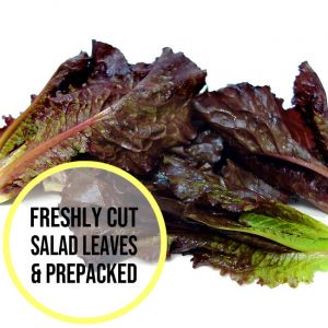 Red Romaine Lettuce Leaves 300g 