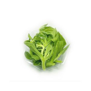Ice Plant Vegetable 280g