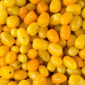 Yellow Cherry Tomato 500g