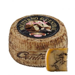Wheel - Pecorino Canestrato with Truffle Cheese