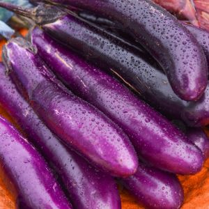 Eggplants - 4Lb