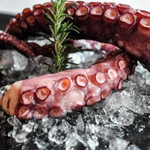 Frozen Cooked Octopus Vulgaris