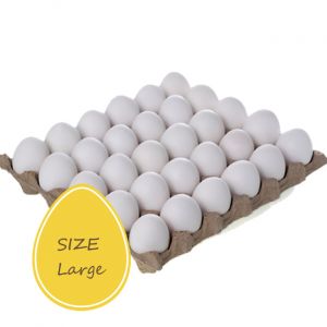 Eggs from USA (30 egg crate)