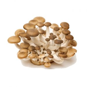 Fresh Shimiji Brown Mushroom 450g
