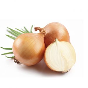Imported Onion