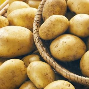 Potatoes from Australia