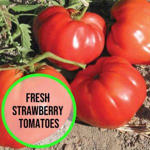 Strawberry Tomatoes 280g