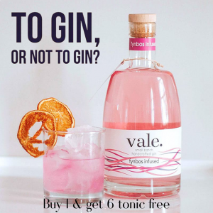 Vale Fynbos Infused Gin + 6 Free Tonic Water